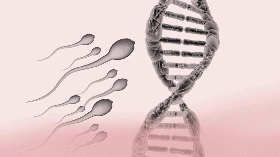 Factor masculino severo: ¿existe una causa genética?