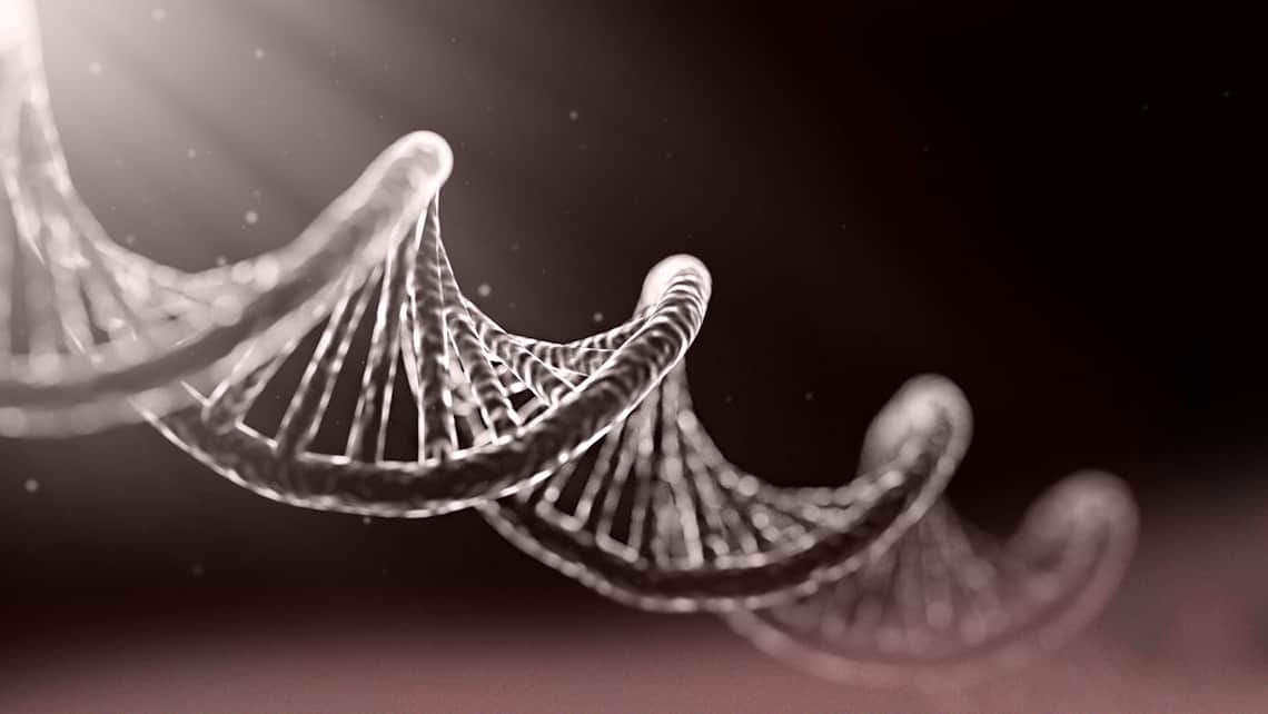 Instituto Bernabeu presents research on the identification of new genes in families with early ovarian failure at the 3rd Congress of Human Genetics