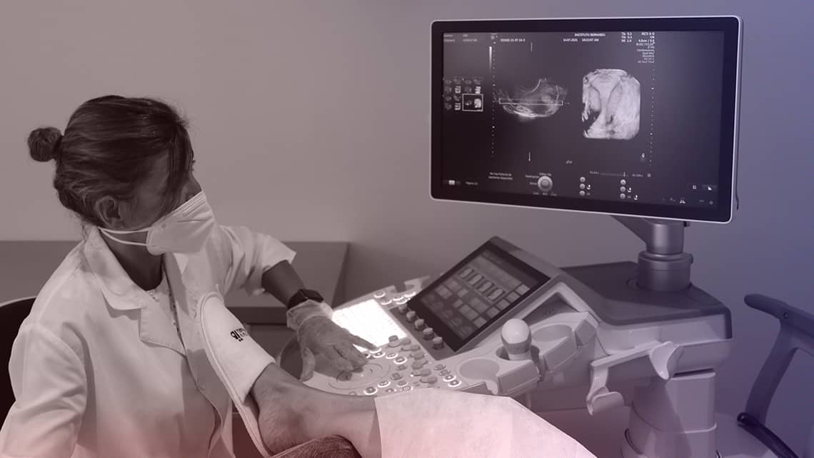 Instituto Bernabeu conducts an expert webinar on ultrasound in reproduction