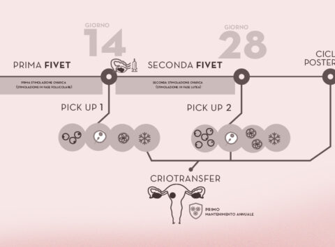 Doppia FIV per bassa riserva ovarica