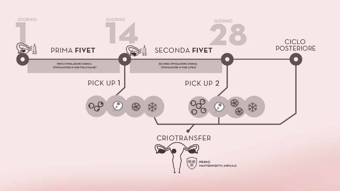 Doppia FIV per bassa riserva ovarica