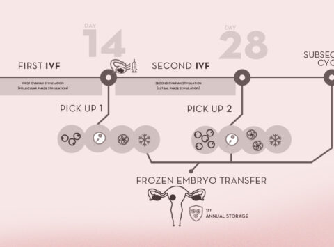 Double IVF for low ovarian reserve