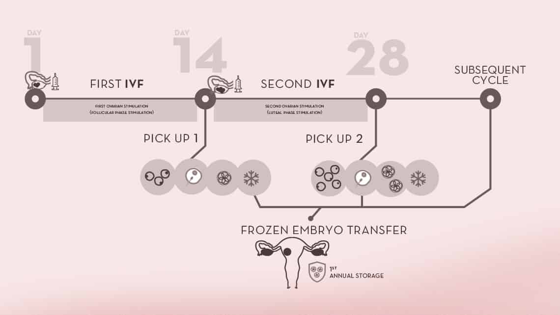 Double IVF for low ovarian reserve