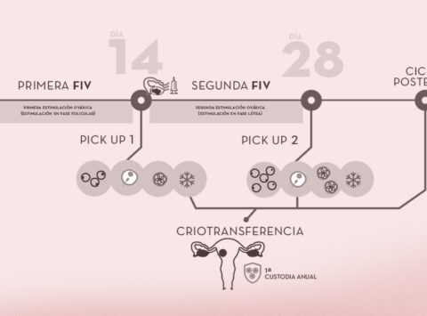 Doble FIV en baja reserva ovárica