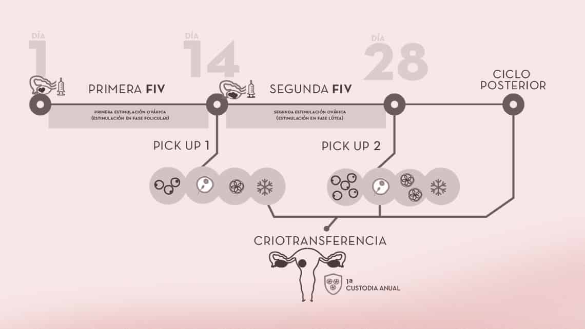 Doble FIV en baja reserva ovárica