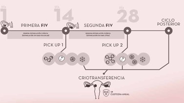 DOBLE FIV+OVODONACIÓN (baja reserva ovárica)