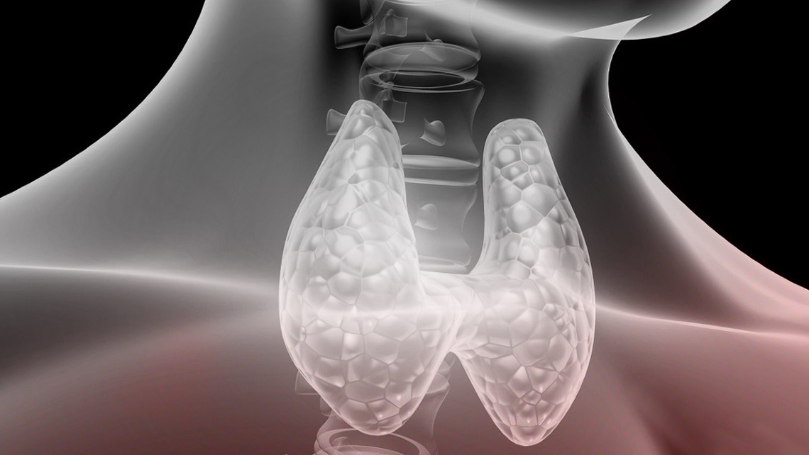 Thyroid function when looking for pregnancy