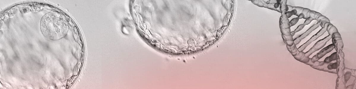 Pannelli genetici: blocco dello sviluppo dell’embrione e aborto