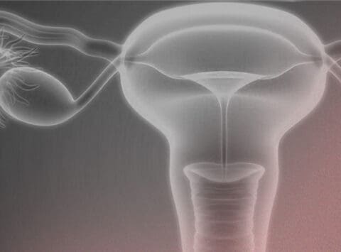 « Dual trigger ou double trigger » : protocole à double induction de la maturation ovocytaire.
