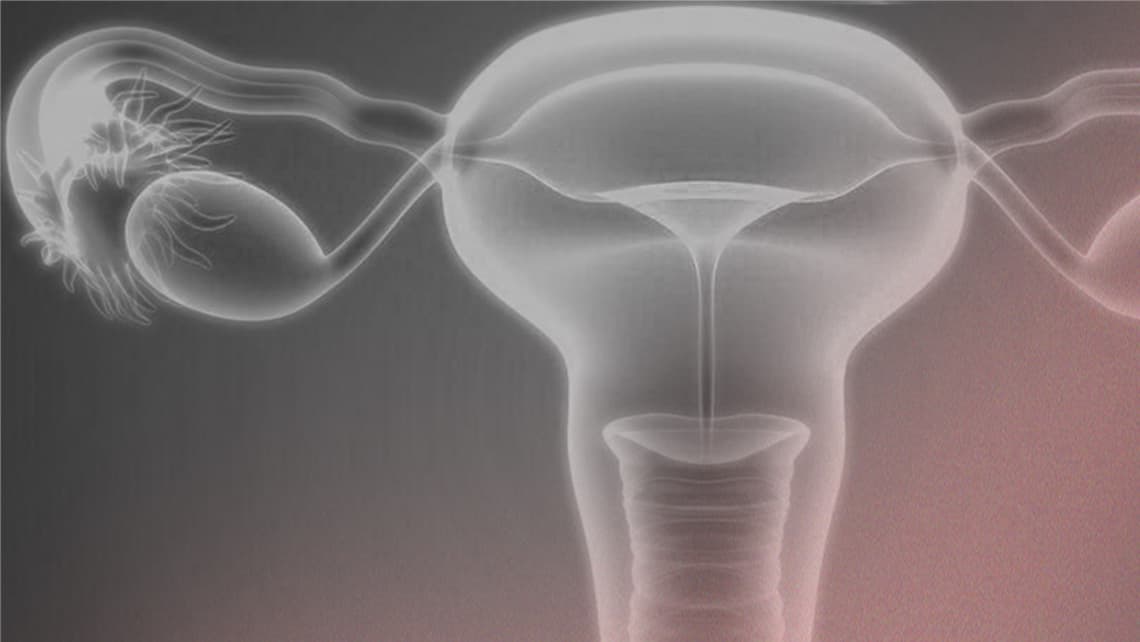 « Dual trigger ou double trigger » : protocole à double induction de la maturation ovocytaire.