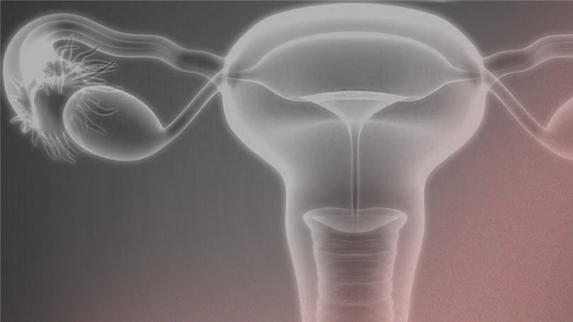 “Dual trigger or double trigger”: oocyte maturation double induction protocol