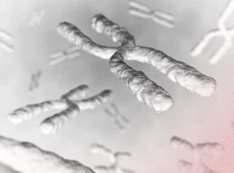 GKT Basic. Analyse von 49 Genen, die die 50 hauptsächlichen rezessiven Krankheiten verbunden mit dem X‑Chromosom verursachen können