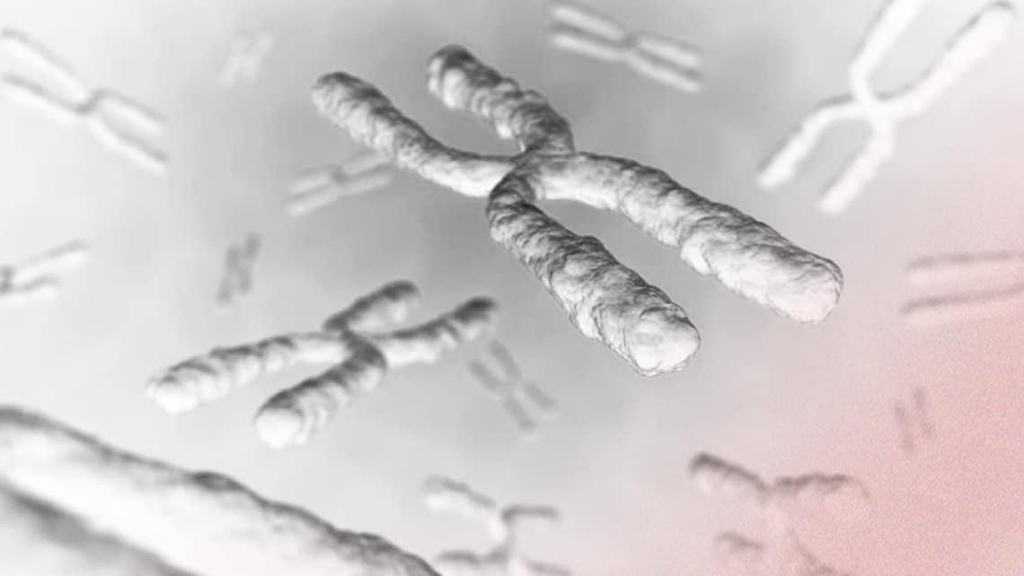 GKT Basic. Analyse von 49 Genen, die die 50 hauptsächlichen rezessiven Krankheiten verbunden mit dem X‑Chromosom verursachen können