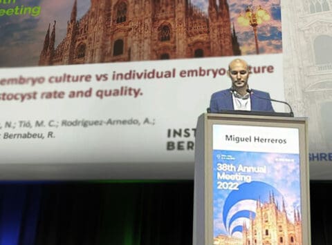 Instituto Bernabeu research compares the impact of group versus individual embryo culture