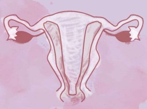 Septierte Gebärmutter – Definition, Diagnose und Behandlung