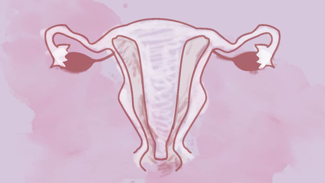 Septierte Gebärmutter – Definition, Diagnose und Behandlung