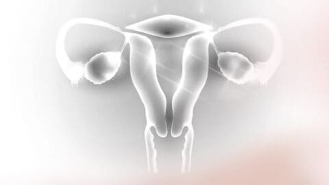 Ovarian diseases and how it affects fertility