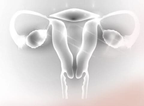 Les maladies des ovaires : comment affectent-elles la fertilité ? 