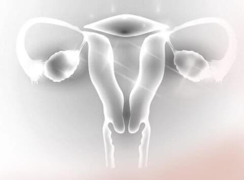 Ovarian diseases and how it affects fertility