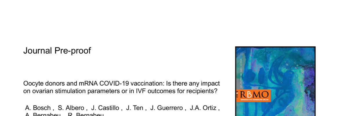 Oocyte donors and mRNA Covid-19 vaccination: Is there any impact on ovarian stimulation parameters or in IVF outcomes for recipients?