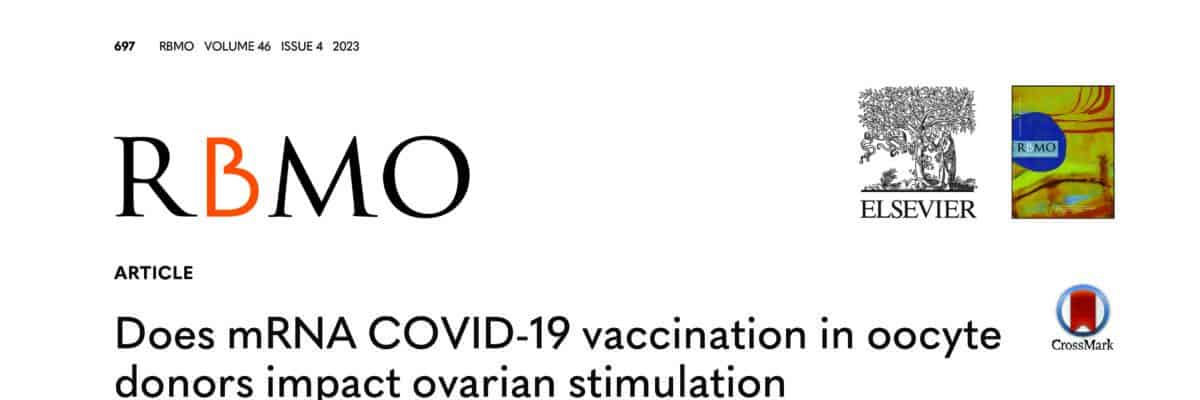Oocyte donors and mRNA Covid-19 vaccination: Is there any impact on ovarian stimulation parameters or in IVF outcomes for recipients?