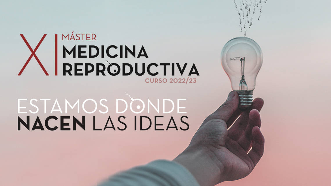 The 11th edition of the Master’s Degree in Reproductive Medicine offered by the UA and the Instituto Bernabeu comes to an end