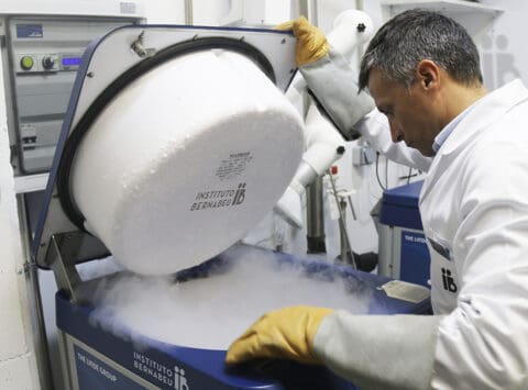 More than 60,000 frozen embryos abandoned in Spain.