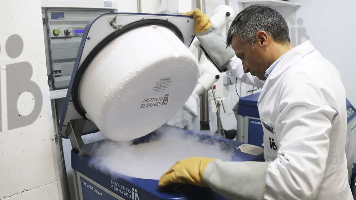 Más de 60.000 embriones congelados están abandonados en España