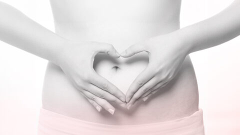 How does high levels of Cholesterol affect fertility and pregnancy