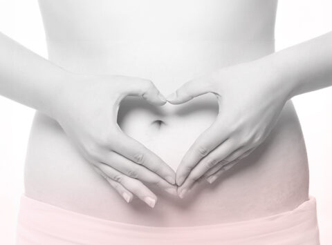 How does high levels of Cholesterol affect fertility and pregnancy