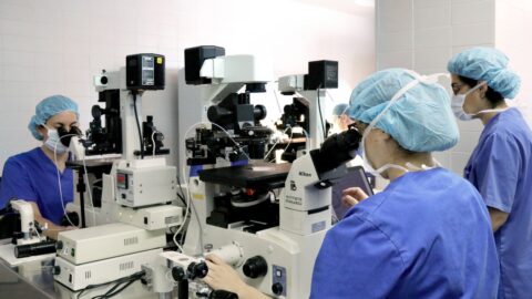 La calidad del semen disminuye a nivel mundial: claves del impacto en la salud reproductiva del hombre
