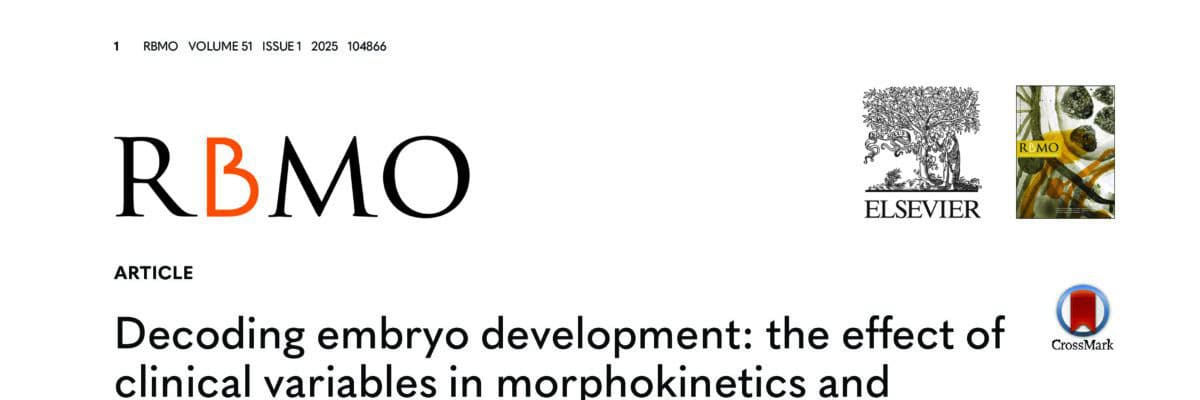 Decoding embryo development: the impact of clinical variables in morphokinetics and AI quality scoring