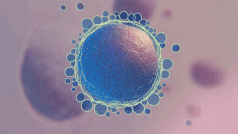 ¿Donar óvulos afecta a la fertilidad? Aclaramos las dudas