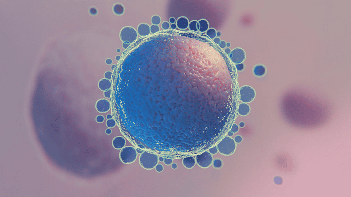Does donating your eggs affect your fertility? We solve all your doubts.