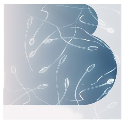FERTILIDAD MASCULINA
