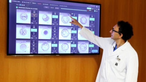 Instituto Bernabeu publica en “Reproductive Biomedicine Online” un estudio sobre inteligencia artificial y calidad embrionaria realizado en 6000 embriones