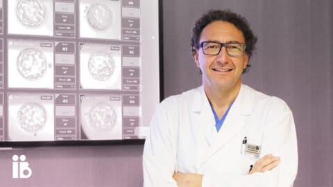 New Publication: Artificial intelligence models developed by Instituto Bernabeu reliably predict reproductive success