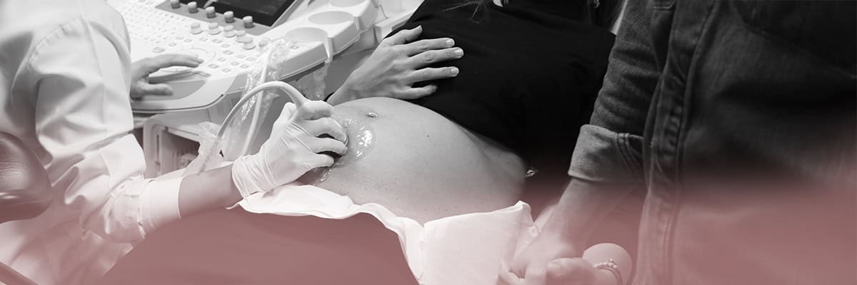 Inseminazione Artificiale