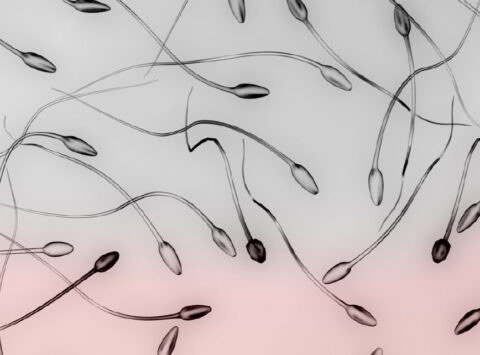 Absoluta tranquilidad para nuestras pacientes: nuestro banco propio de gametos evita riesgos como el escándalo europeo del donante masivo de semen portador de TP53, un trastorno hereditario vinculado al cáncer