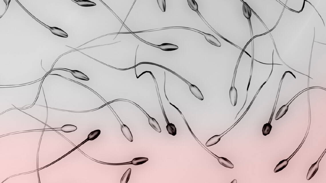 Massima tranquillità per le nostre pazienti: la nostra banca di gameti interna evita rischi come lo scandalo europeo del donatore di sperma portatore del TP53, una malattia ereditaria legata al cancro.