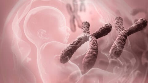 New Genetic Evidence on Pregnancy Loss: