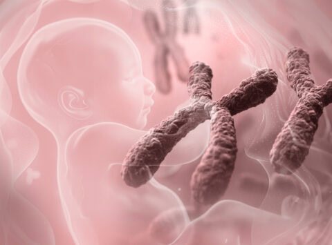 Nuevas evidencias genéticas sobre la pérdida del embarazo