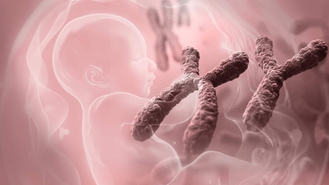 Nuevas evidencias genéticas sobre la pérdida del embarazo