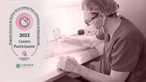 Instituto Bernabeu obtains the Gametia-Asebir seal: excellence and precision in the assisted reproduction laboratory