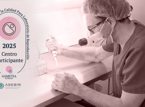 L’Instituto Bernabeu ottiene il sigillo Gametia-Asebir: eccellenza e precisione nel laboratorio di riproduzione assistita