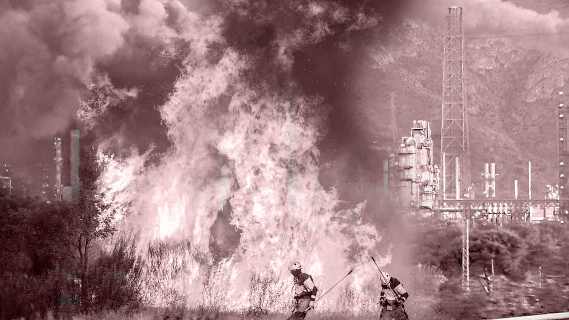 The impact of fires on fertility