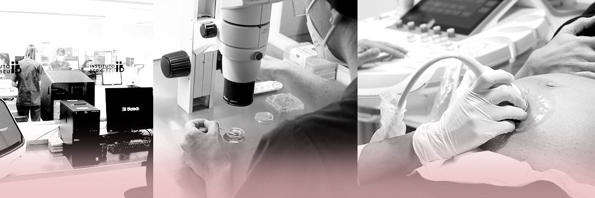 COMITÉ DE I+D+I DE INSTITUTO BERNABEU