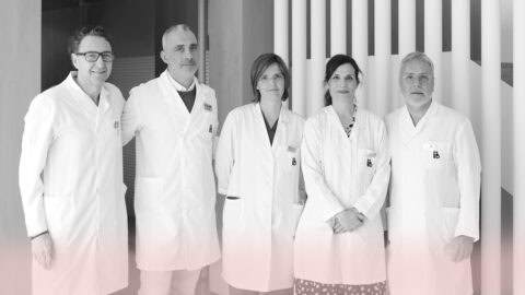 NUEVO COMITÉ DE I+D+i: Entrevista a los nuevos miembros directivos