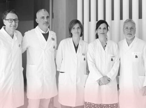 NUEVO COMITÉ DE I+D+i: Entrevista a los nuevos miembros directivos