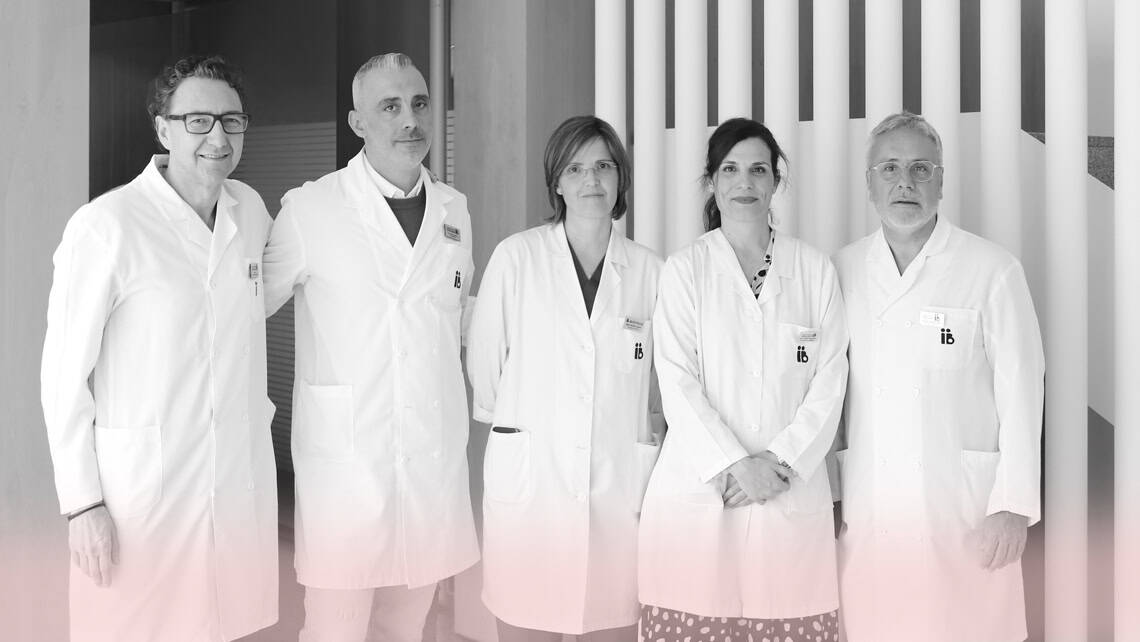 NUEVO COMITÉ DE I+D+i: Entrevista a los nuevos miembros directivos